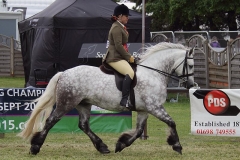 Lindsey J A MacDonald & Dunedin Merlin