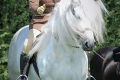 Rachael Helliwell & Dunedin duncan