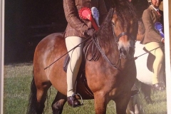 Lauren Brill & Edwinsfield Nocturne