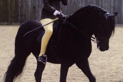 Pumphill Banter and Isobel Lines