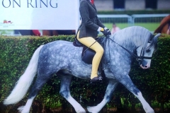 Crumpwell Harry Potter & Isobel Lines