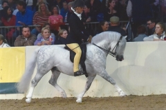 Wintersend Nimbus & abigail marshall