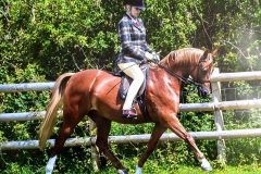 Kate Williams‎ & Northlight Coppellia