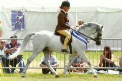 Rebecca Penny‎ & Littlebyrom Harry Potter