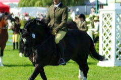 Cwmmaddoc Neifion & Tracey Milward