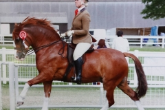 Cwmythan Easter Express & Vicki Myronidis