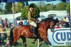 Ellie Pretty and Popsters Roulette