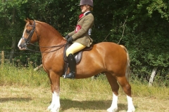 Perrygrove Theseus & Rebecca Gribben