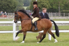 Popsters Movie Star & Gemma Morris