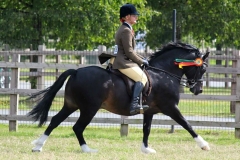 Popsters Tommy Cockles & Nicole Musson