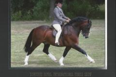 Tryeos Casanova & Joanna Clowes