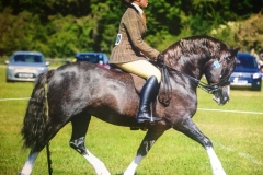 Washingpool Llywelyn & Kelly McPhilbin