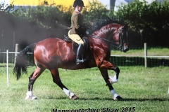 Cefnbangor Rob Roy & Tarnya Shields