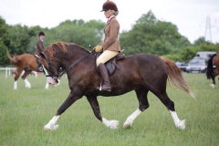 Daichristu Flying High & Anna Chaplin