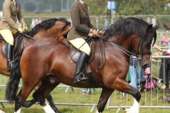 Nantymynydd Ysbryd & Hannah Atkinson