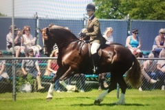 Saith Magical Ginger & Helen Baker