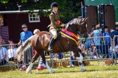 Wishaw red Rosie & Amy Simcox