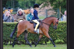 James Read and Roseberry Spiderman