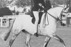 Alexandra Blackwells with pickmere lady arwen