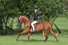 Lili Dixon & Raemoir Bewitched