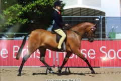 Wilderness Early Bird