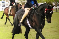 Greenbarrow Mr D'arcy and Phoebe Rockss