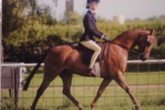 White Boro TellTale & Elle Lamming