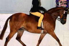 Zoe Burton and Rotherwood Peeping Star