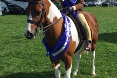 Little George Elliott and Maplebridge Good Friday