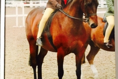 Oliver Bradshaw and Wynnmere Lilliput