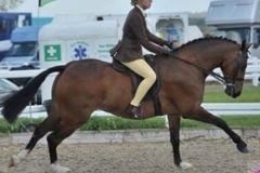 Bassano Prince Of Thieves and Lucie Gordon Burgess