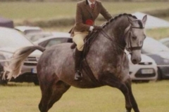 Charlotte Rees and Tooreeny Lad