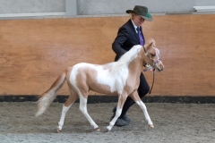 Donabi UK Uno Cartier