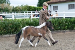 Donabi UK Uno Simply Magical