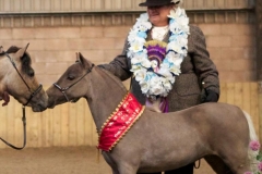 Melanie Jane Lewis & Pencarnans foxy jelly tots