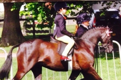 Alfie Dolan McLachlan and Barkway Minstral