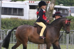 Hollybush Enchantment and Hannah Wilson