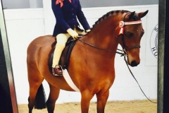 Olivia Ross and Barkway Poet