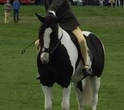 CJ's Tonto and Finn Muirhead