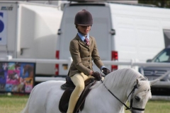 Shamrocklake Magna Shakira & Darcy Sanders