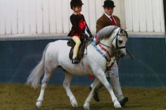 Lewis Reynolds & Mynyddtarren Hugo