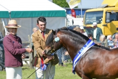 Shilstone Rocks North Westerley
