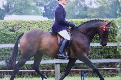 Emily Whalley's & Dream of a Gleam