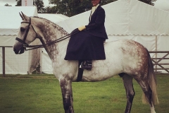 Laura Gray & This is Louie