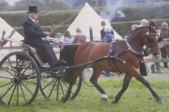 Crossfield Tiger Bay