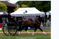 Malcolm Salter & Newydd Beau
