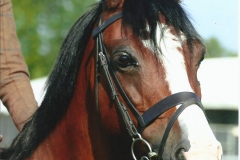 Georgie Darlington & Tynwydd Good Friday