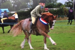 Violet Ward & Dycott Mark Of Excellence