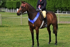 Sophie Clark and Dowhills Daffi