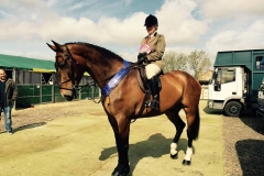 Sian David and General Law